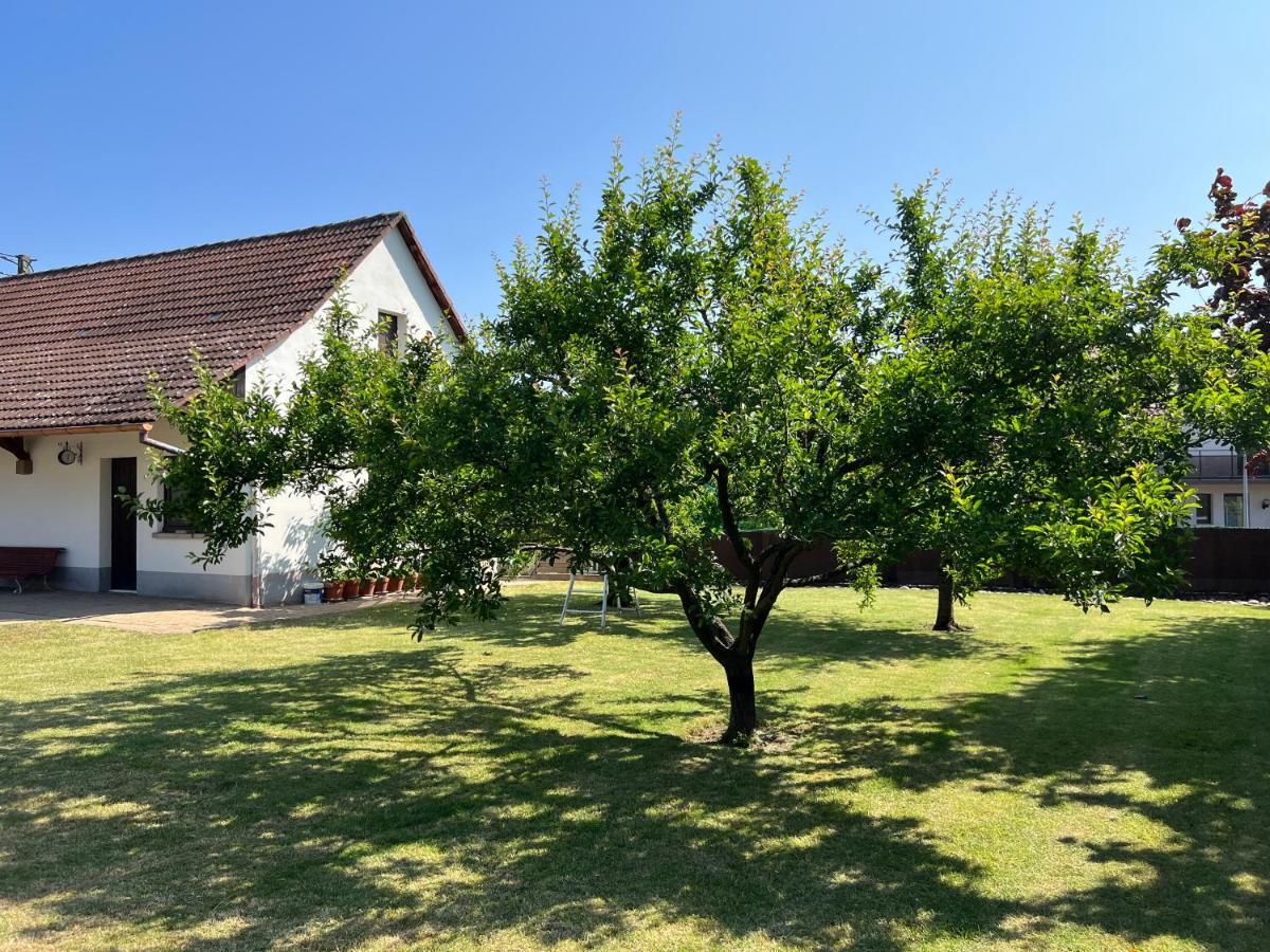 Bonne Idee - Suite Georgette - Meuble De Tourisme 3 Etoiles Châtenois Esterno foto
