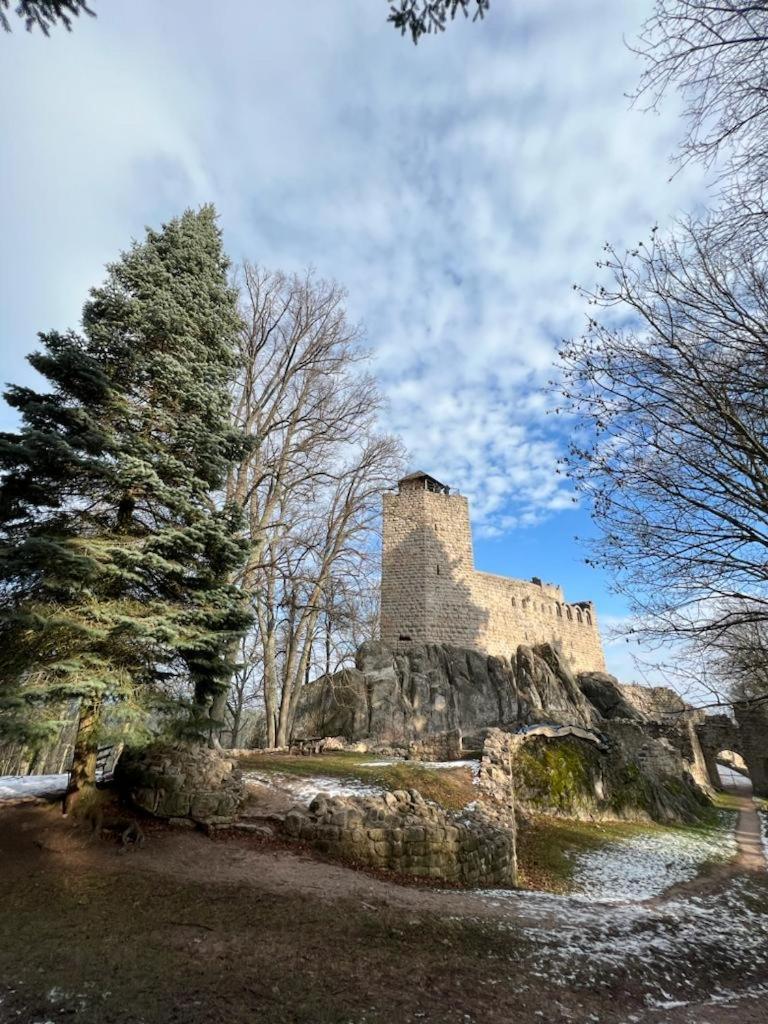 Bonne Idee - Suite Georgette - Meuble De Tourisme 3 Etoiles Châtenois Esterno foto